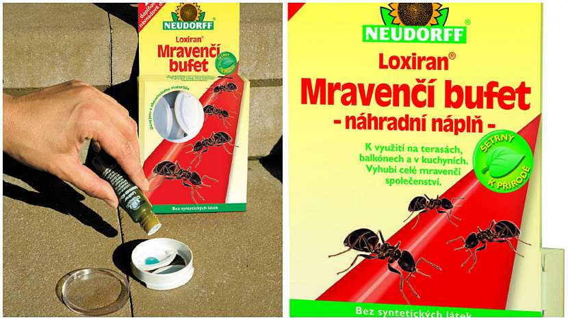 Loxiran Mravenčí bufet obsahuje návnadu s účinnou látkou spinosad; náhradní náplně lze dokoupit