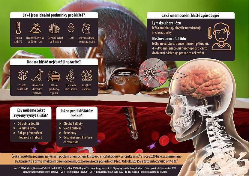 Infografika
