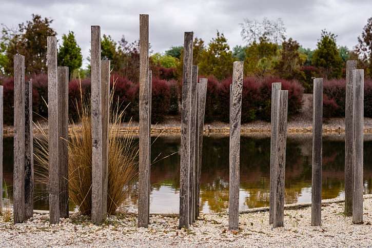 Cranbourne – Royal Botanic Garden aneb Když rozkvete australská pustina