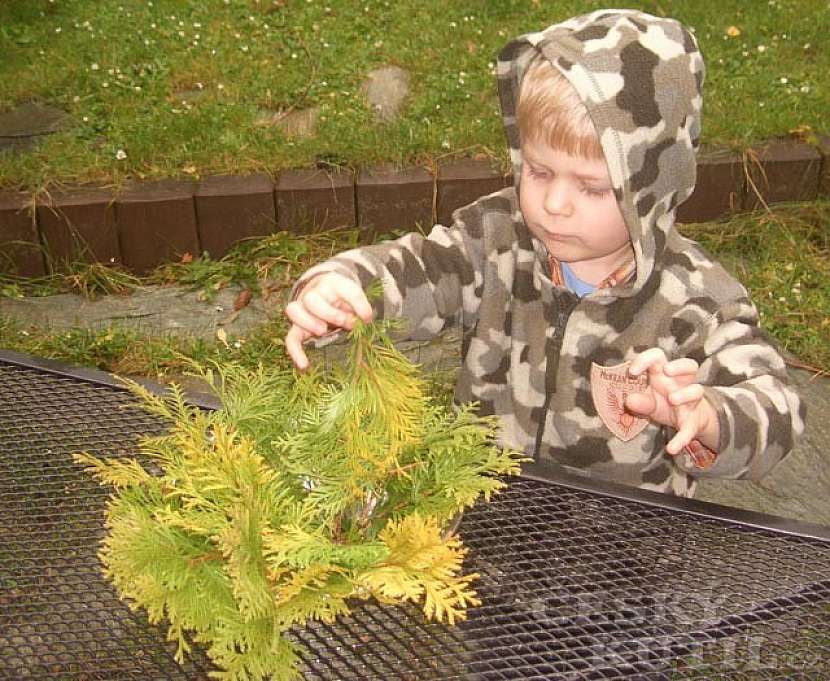 Návod na adventní svícen s plovoucími svíčkami