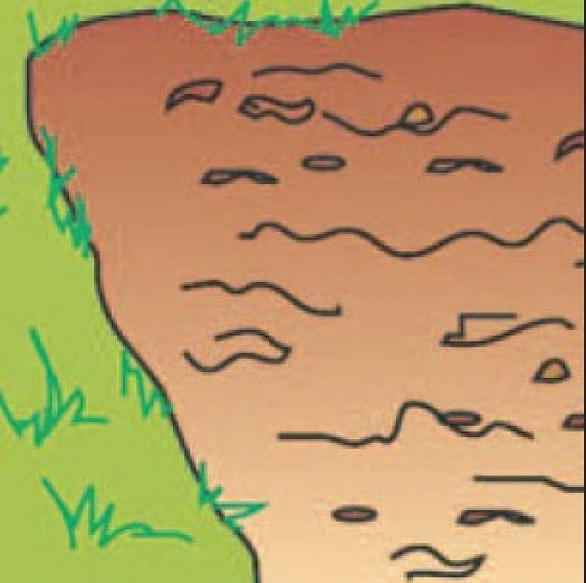 Umění anglického trávníku