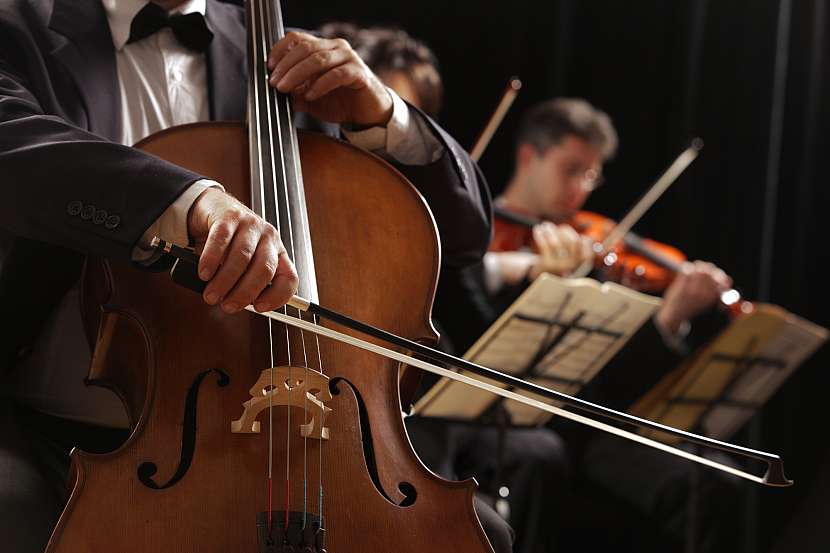 VIVALDIANNO