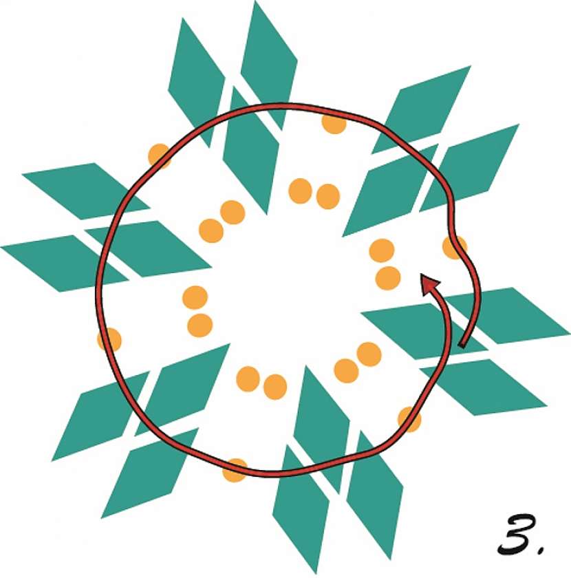 3 UPR
