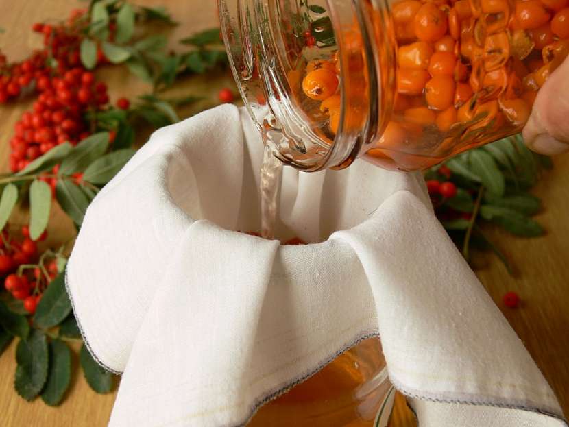 Recept na kompot, džem a víno z jeřabin