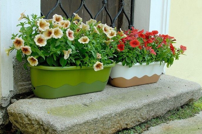 Vykouzlete na svém balkóně zelenou oázu. Pomohou vám samozavlažovací truhlíky a květináče.