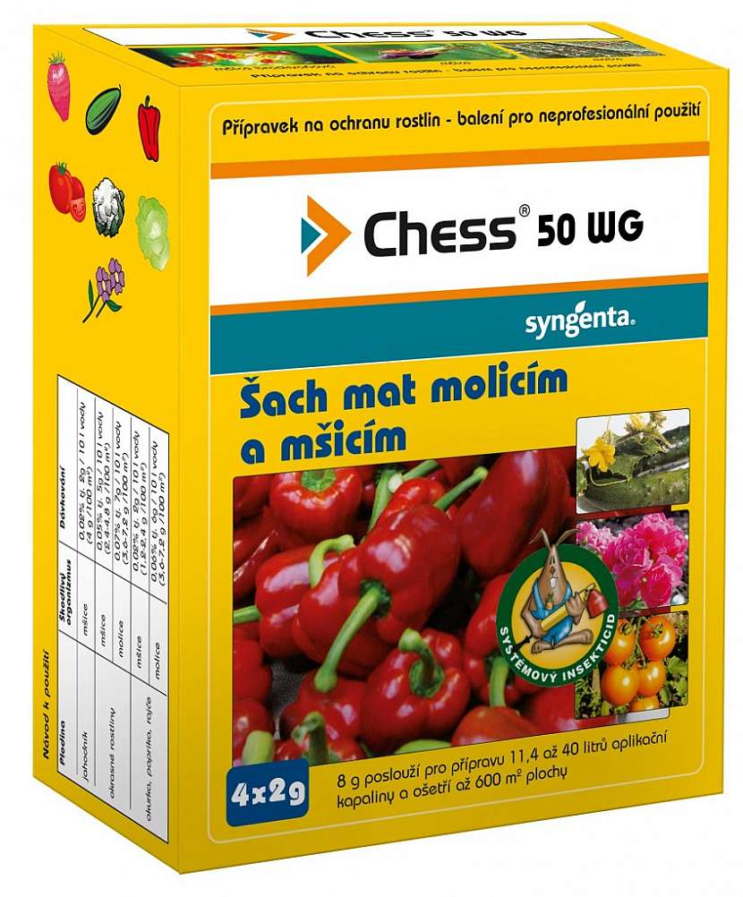 Jak pěstovat orchideje