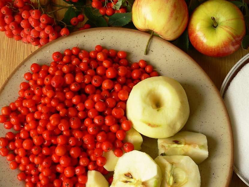 Recept na kompot, džem a víno z jeřabin