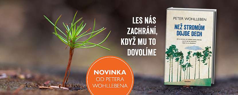 Kniha Než stromům dojde dech je vyznáním lásky stromům a současně výzvou, abychom ve vlastním zájmu konečně začali chránit přírodu a pečovat o její nekonečnou mnohotvárnost