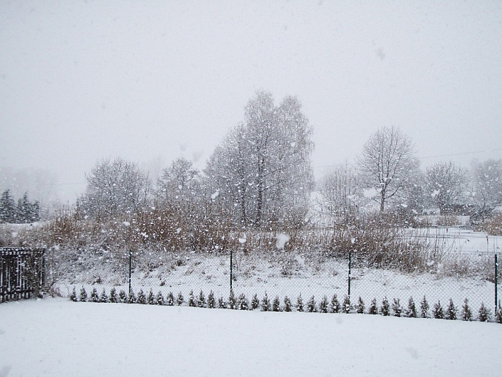 Zimní krása zahrady