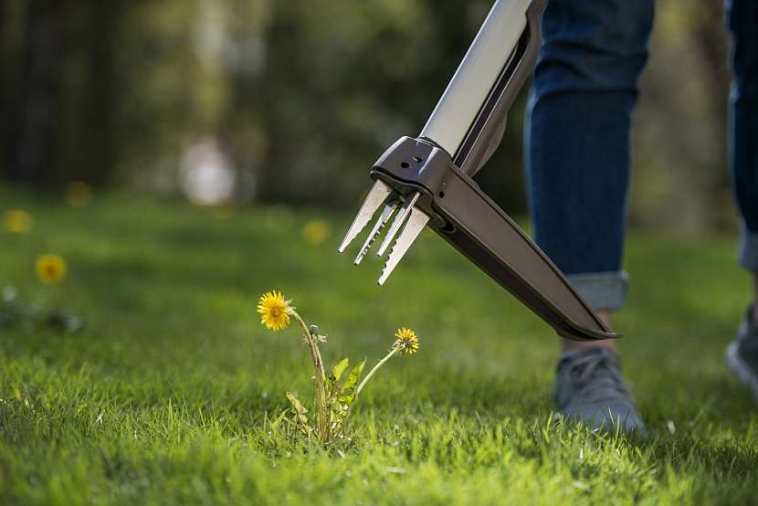 Vytrhávač plevele Fiskars