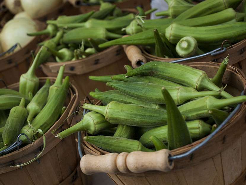 Okra