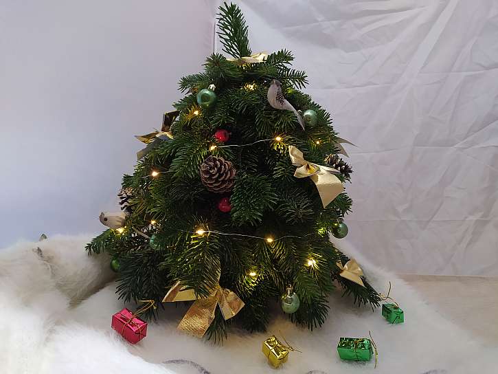 Mini vánoční stromeček z odpadu (Zdroj: Adriana Dosedělová)