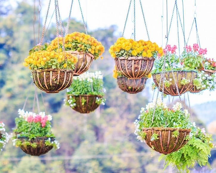 Závěsnými květináči můžete ozdobit balkon i pergolu