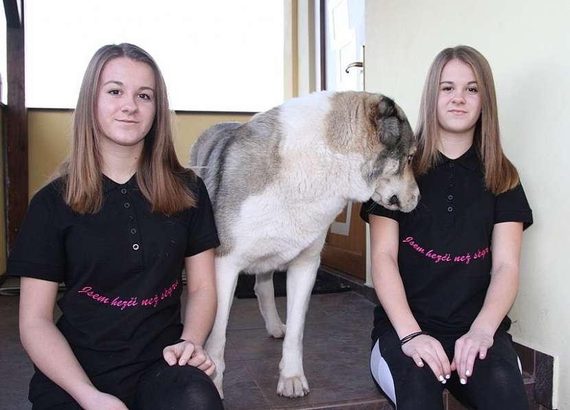 Výšivky Brudra – buďte originál