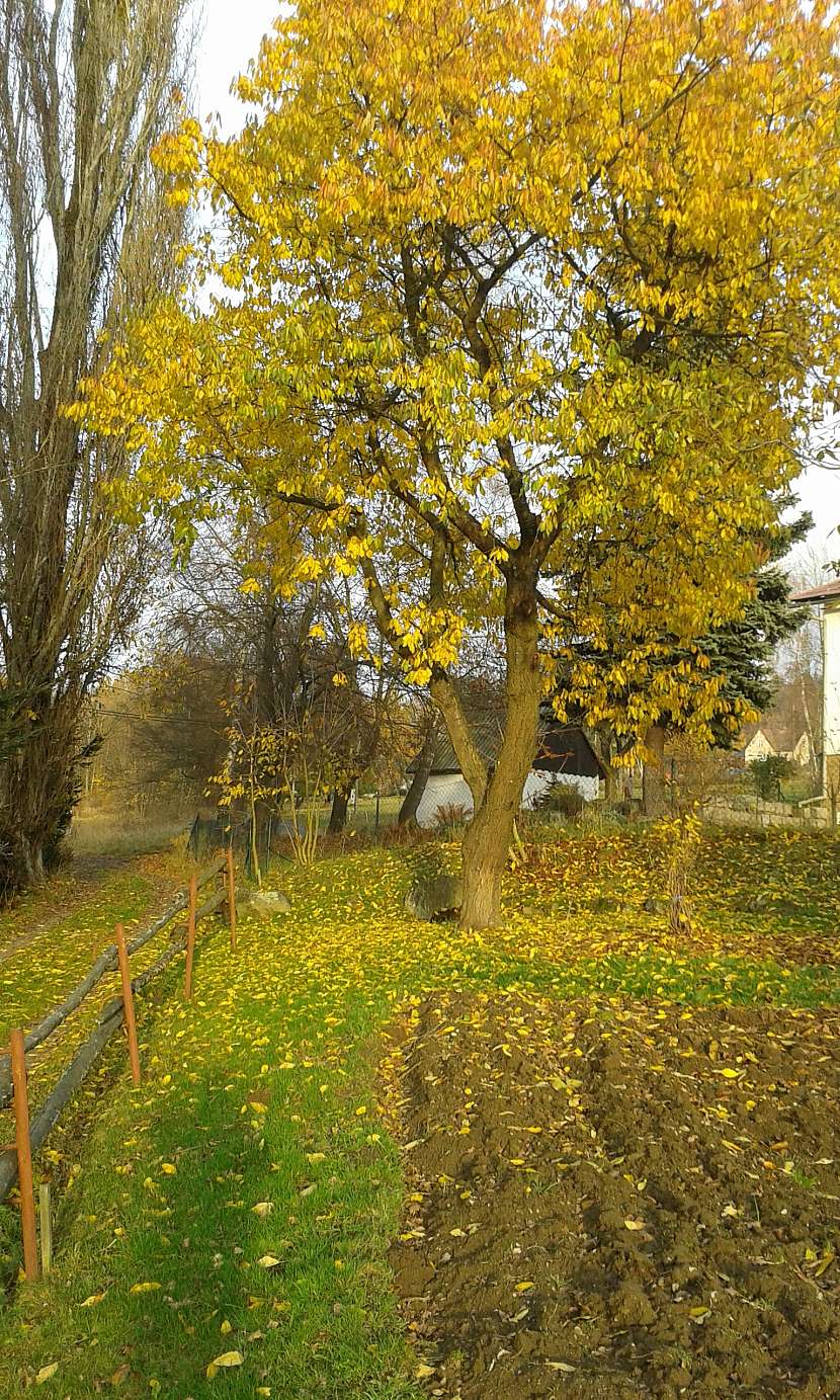 Podzim