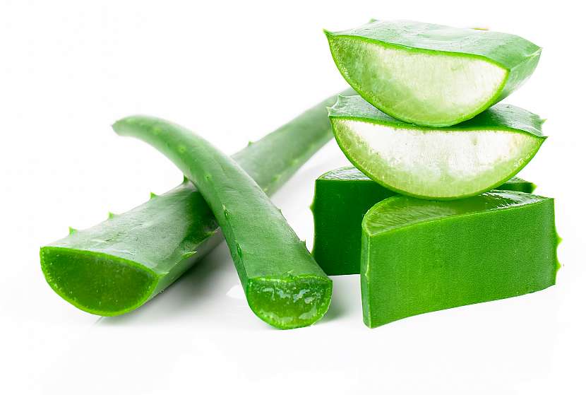 Aloe