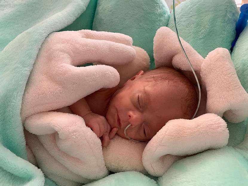 Zakoupením plenek Pampers v Tescu věnujete automaticky 1 % z ceny na nákup pohodlných pelíšků pro předčasně narozená miminka v perinatologických centrech