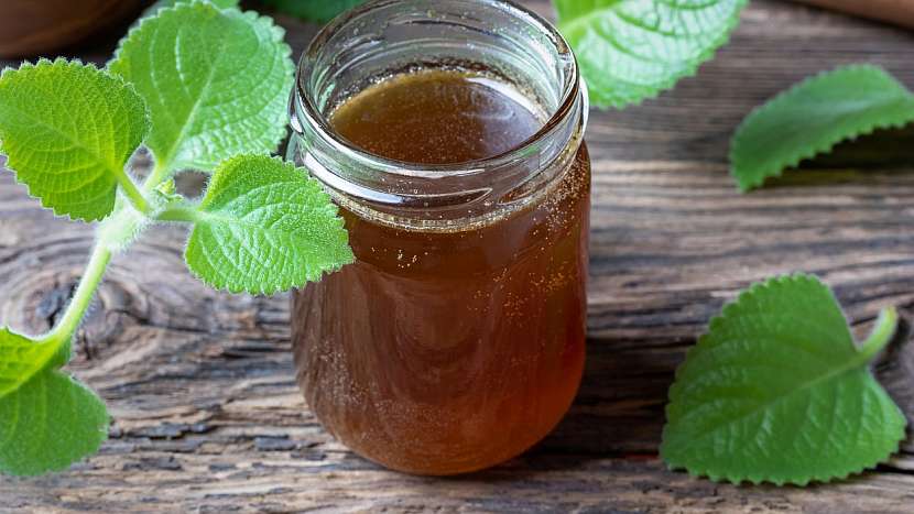 Recept na rýmovníkový sirup
