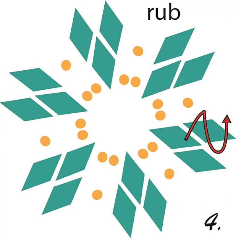 4 UPR