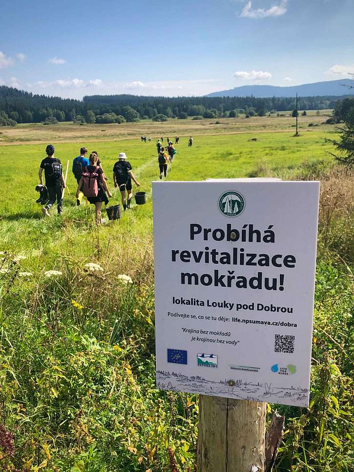 Akci pořádala organizace Na mysli ve spolupráci s Hnutím DUHA a Správou Národního parku Šumava