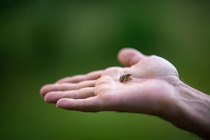 Lubor Křížek vytvořil na pozemcích soustavu jezírek a tůní, která pomáhá zadržet vodu v krajině a přilákala na místo mnoho vzácných živočichů.