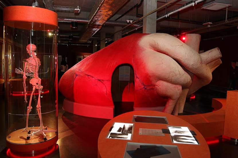 Gigantický model srdce
