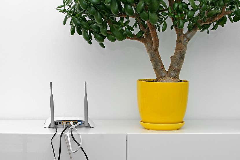 Wi-Fi 6
