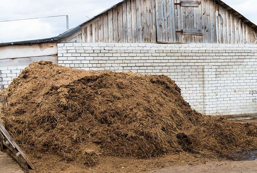 Kravský hnůj