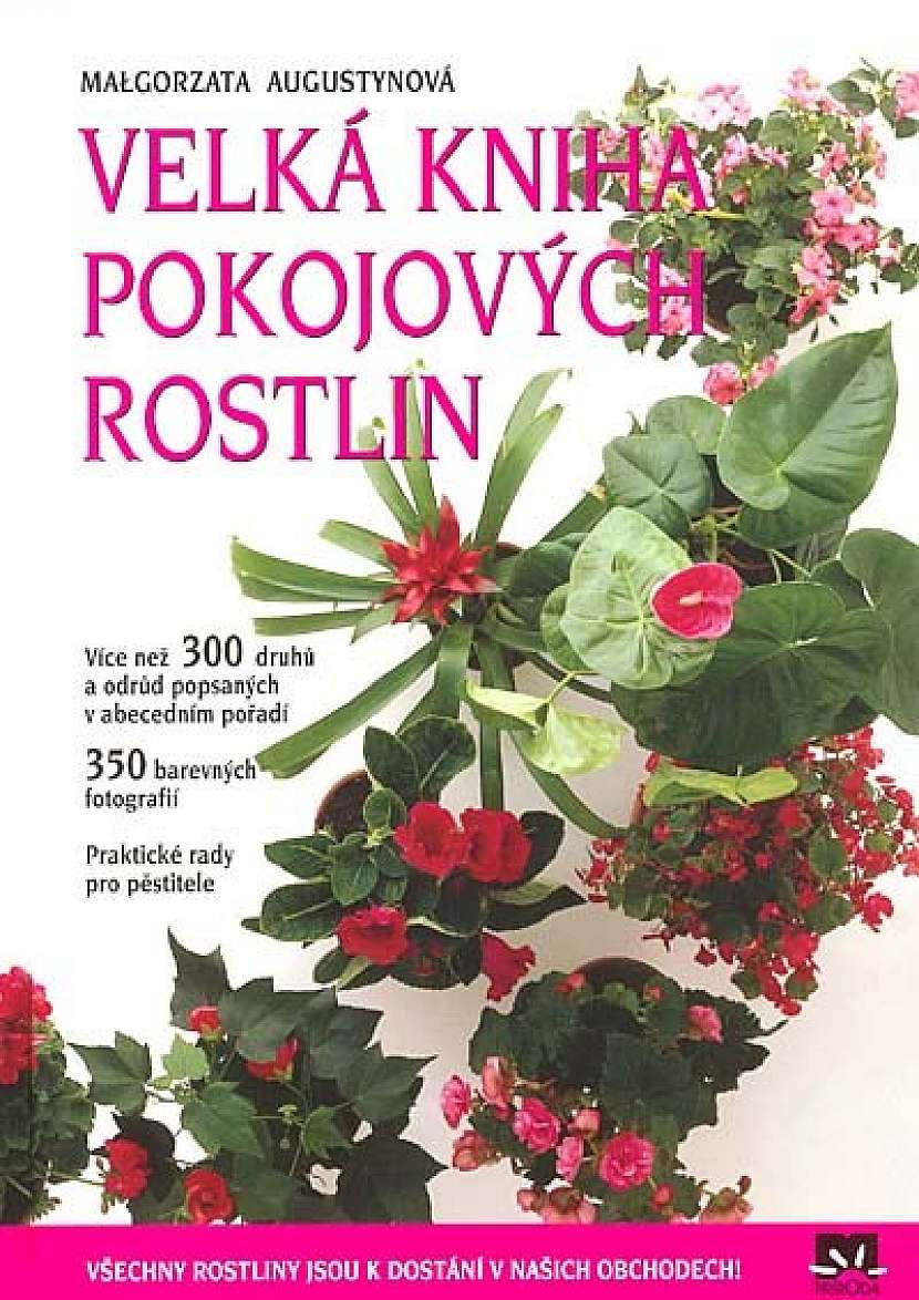 Velká kniha pokojových rostlin