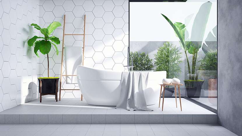 wellness doma