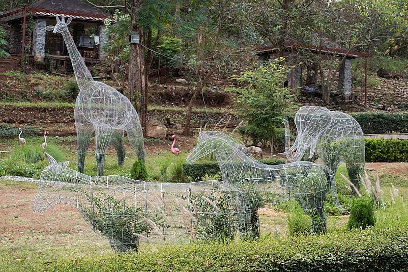 Drátovaná ZOO