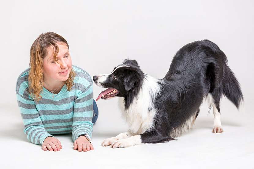 Dog dancing: zábava s paničkou či páníčkem bude pejska bavit