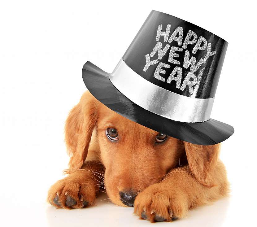 Šťastný Nový rok