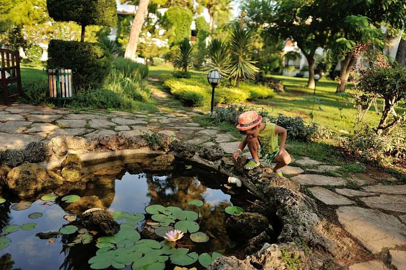 I malé okrasné jezírko je potřeba před zimou uklidit a připravit