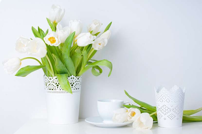 Jarní trendy floristů na veletrhu FOR DECOR 2019