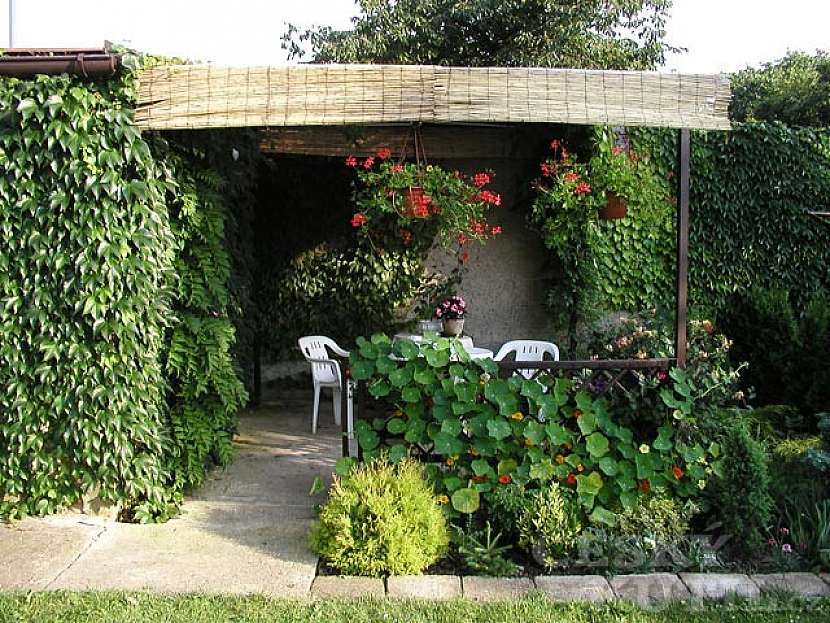 Zastřešená pergola
