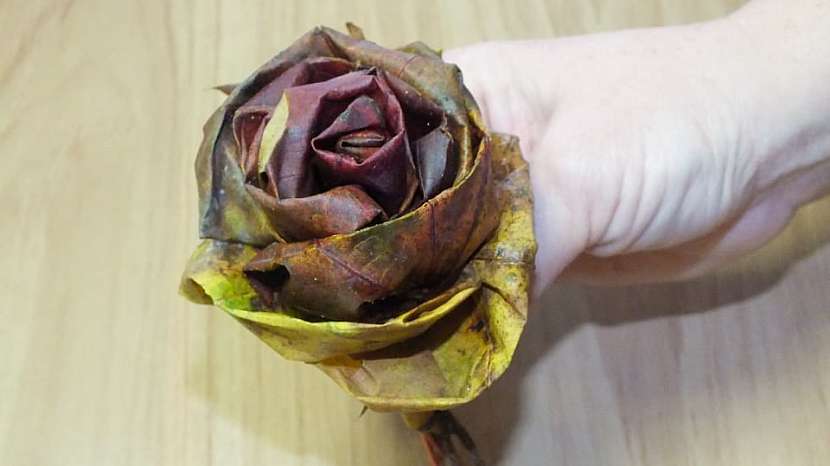 Růže z listů: růže je hotova