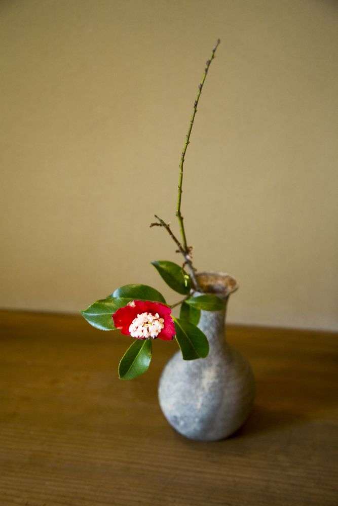 Ikebana aneb Interiérové aranžmá v japonském stylu 