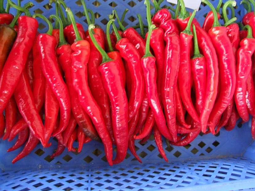 Jalahot