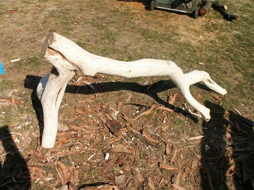Nezahazujte velkou větev z pokáceného stromu. Vyrobte si z ní zahradní lavici podle jednoduchého návodu.