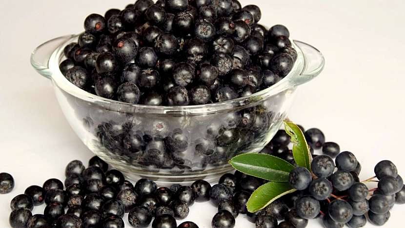 Jak proti chřipce: černé jeřabiny (Aronia melanocarpa)