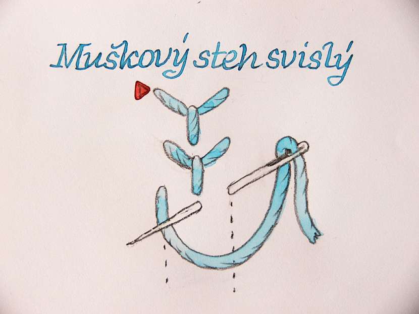 Muškový, obtáčený stonkový a lanový steh
