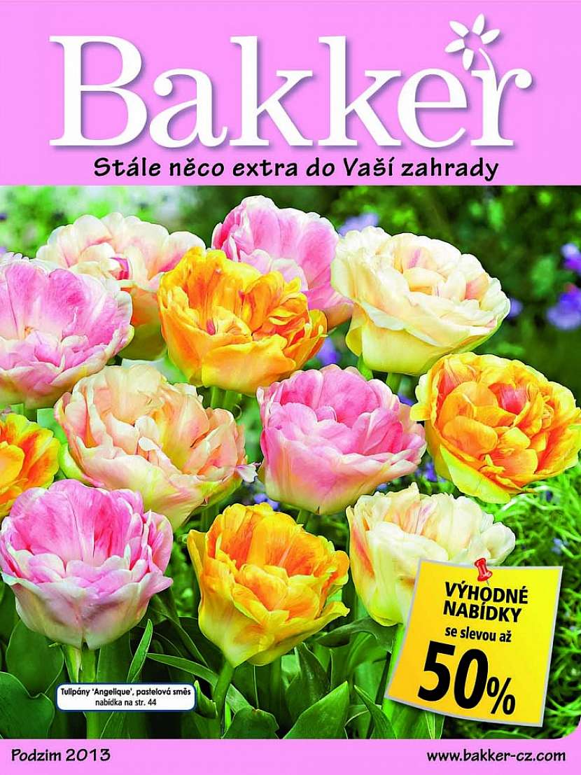 Katalog Bakker podzim/2013