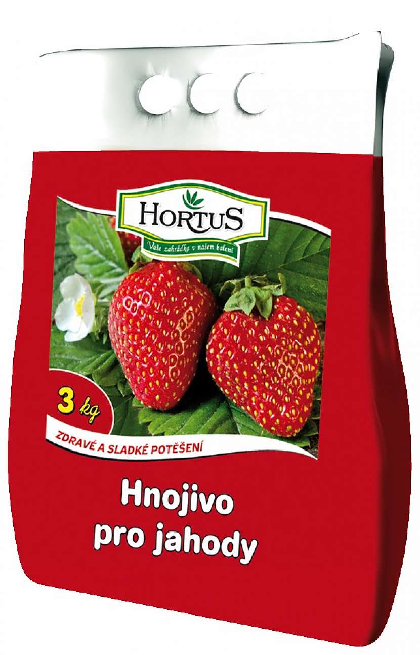 Hnojivo je základ velkých sladkých plodů