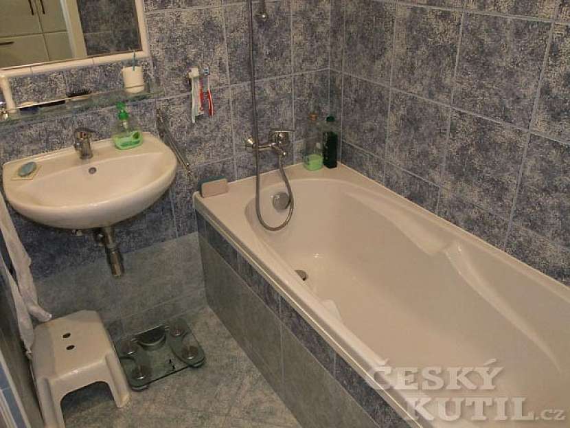 Že byt očešu až na panel, mě z počátku skutečně nenapadlo