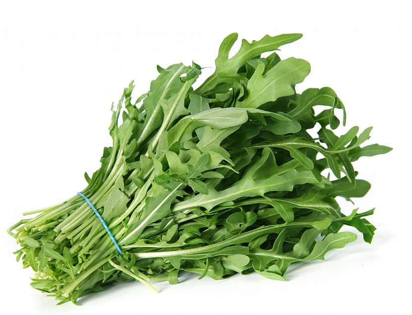 Rukola