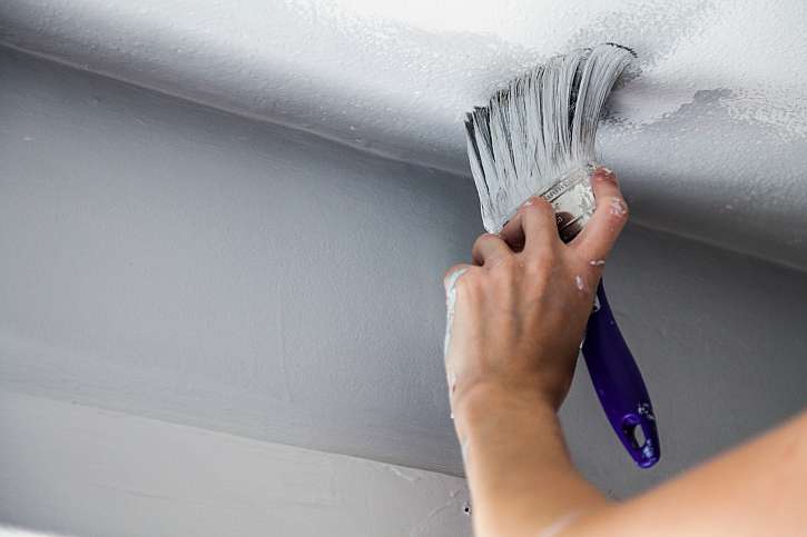 Po likvidaci plísně strop nově vymalujte protiplísňovými barvami