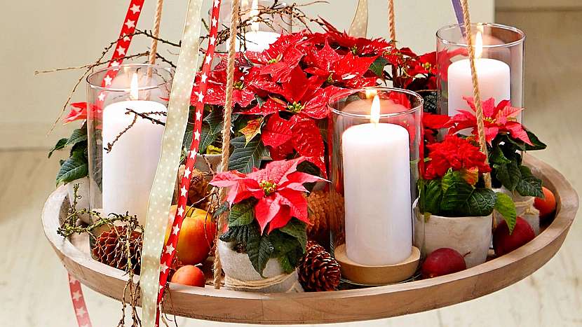 Závěsný adventní věnec z poinsettií