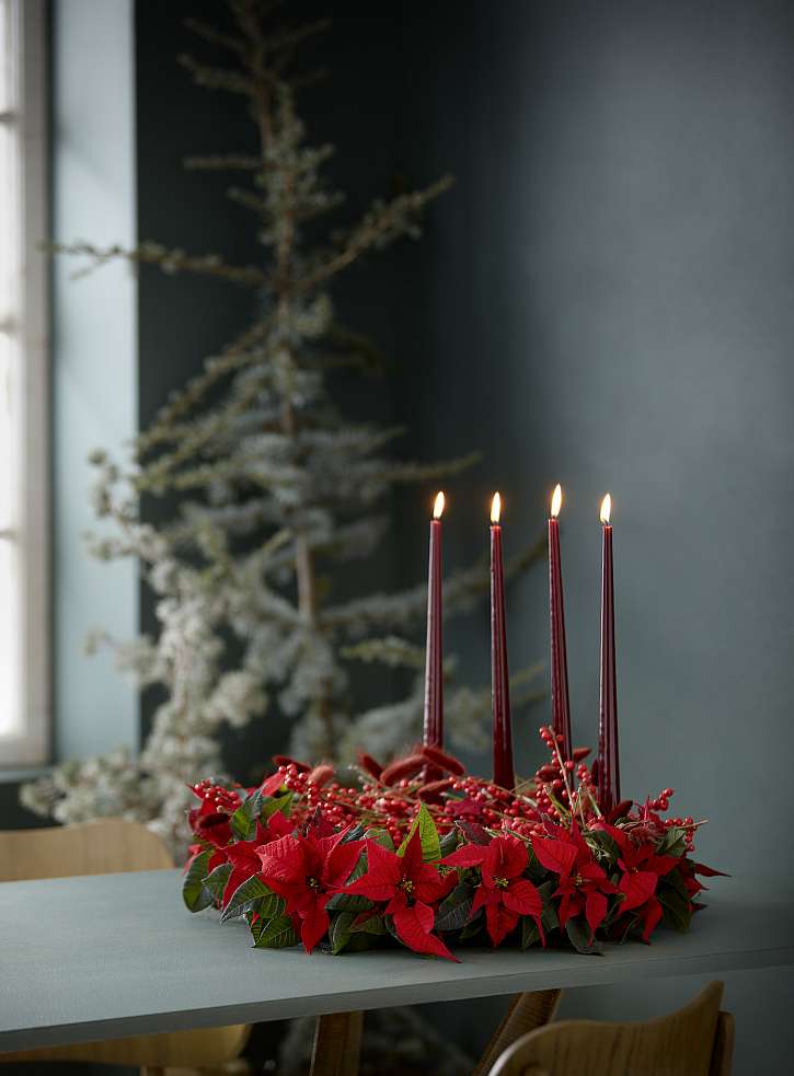 Mech, řezaná vánoční hvězda, cesmína a obarvená zajíčková tráva promění jednoduchý věnec z větviček a lišejníků v krásnou přírodní dekoraci, která jasnými červenými tóny rozzáří každou místnost