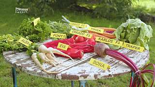 Tradiční odrůdy zeleniny a jahod